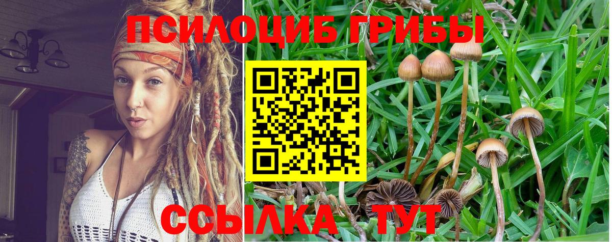Борисоглебск  Галлюциногенные грибы Cubensis  наркота  Вход с VPN 