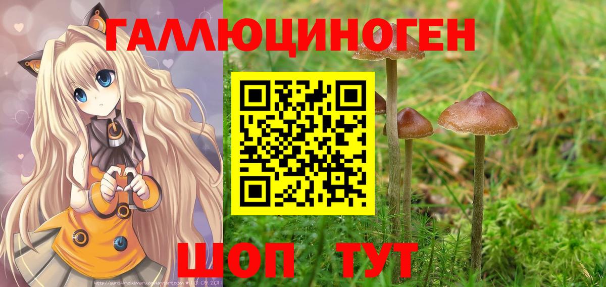 Галлюциногенные грибы Magic Shrooms  магазин продажи   Псилоцибиновые грибы Psilocybine cubensis  Борисоглебск 