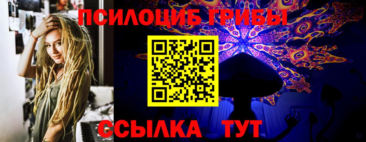 Галлюциногенные грибы прущие грибы Борисоглебск
